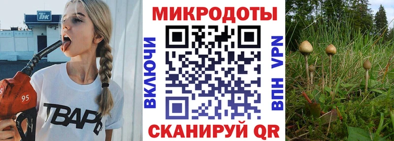 дарнет шоп  Шахты  Галлюциногенные грибы мухоморы 